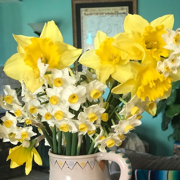 Meet your Posher, Harmony - Picture 1 of 1